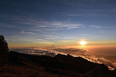 《寂静岭2：重制版》的发售日可能很快将公布